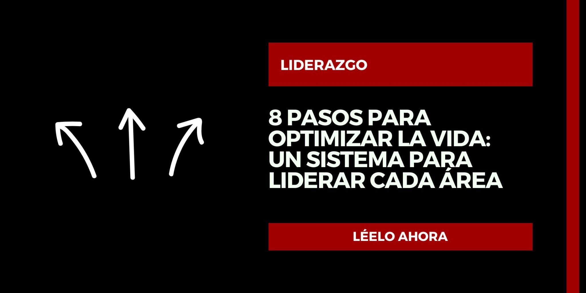 8 Cosas que Hago para Optimizar mi Vida: Un Sistema para Liderar Cada ...
